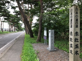 onuma7.jpg